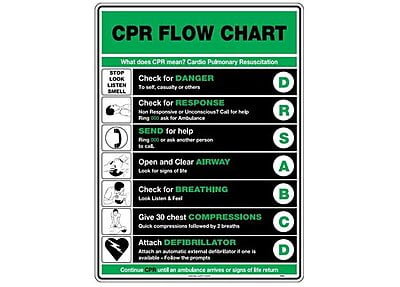 SAFETY POSTER, BASIC LIFE SUPPORT FLOWCHART (CPR)