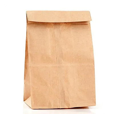 Brown Paper Bag No 1 [500]
