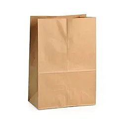 Brown Paper Bag No 2 [500]