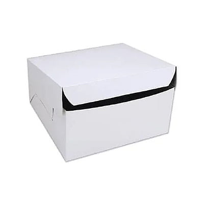Cake Box White [100]